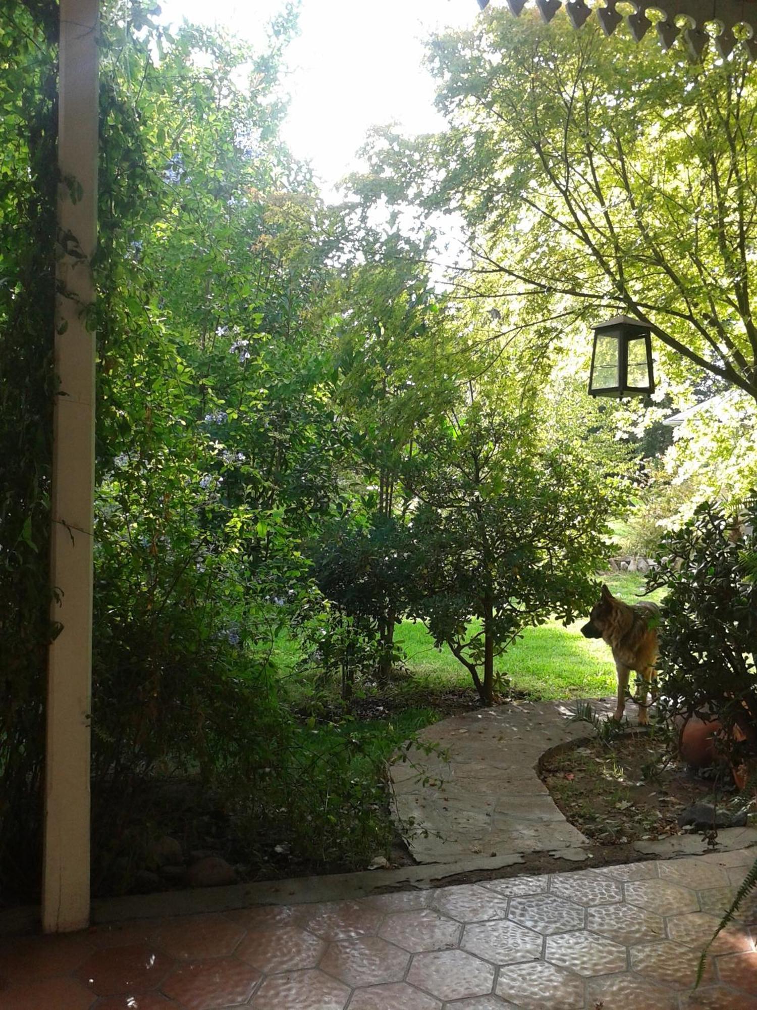 Casco El Trapiche Bed & Breakfast Godoy Cruz Oda fotoğraf